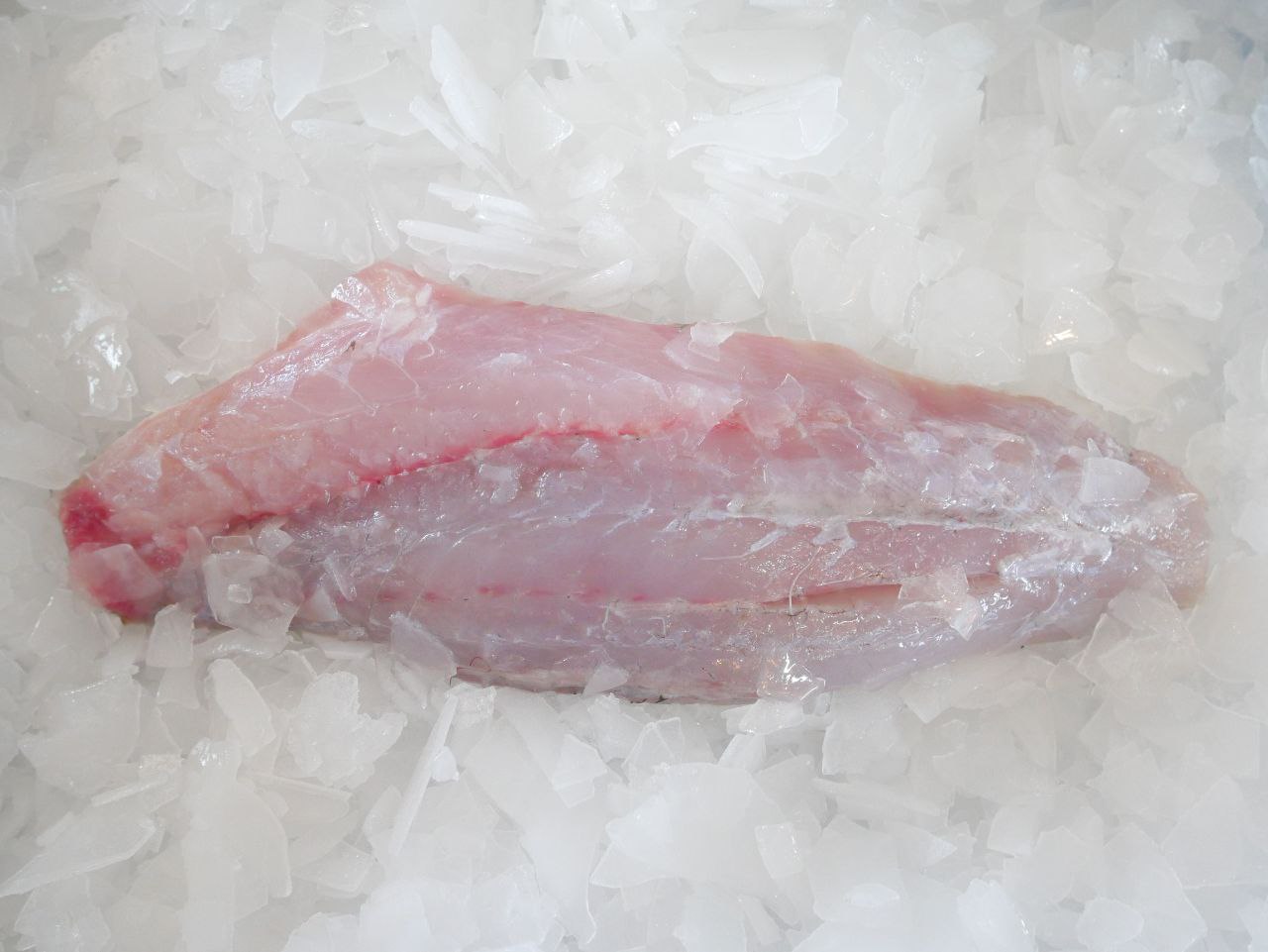 Barramundi Fillet